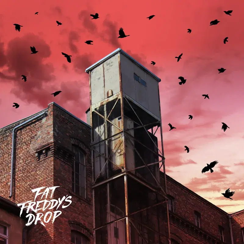 Blackbird