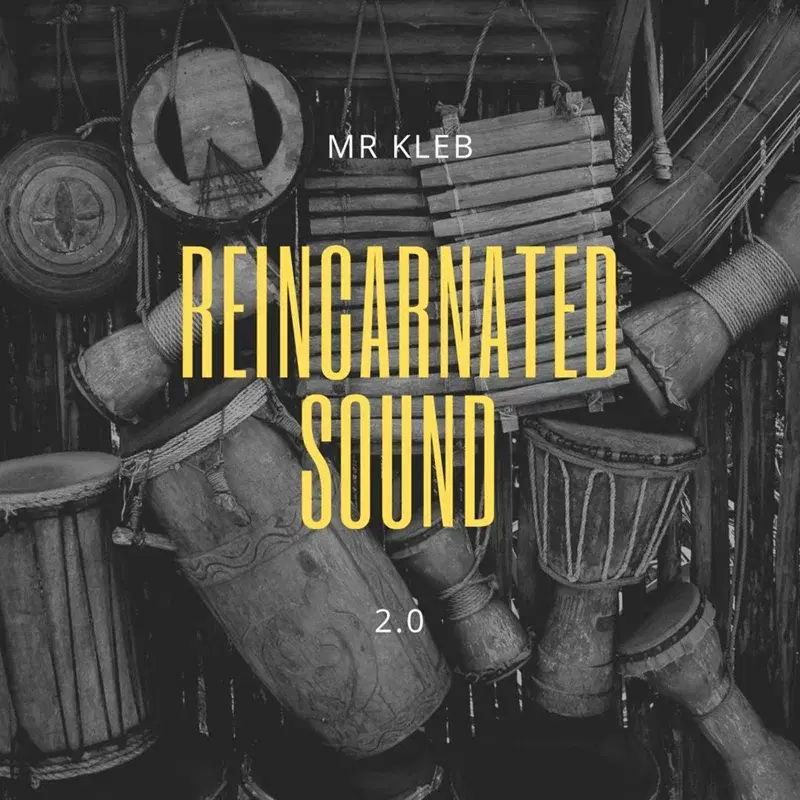 Reincarnated Sound 2.0