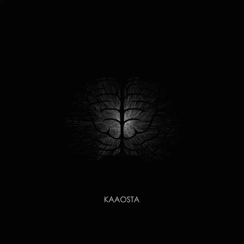 Kaaosta