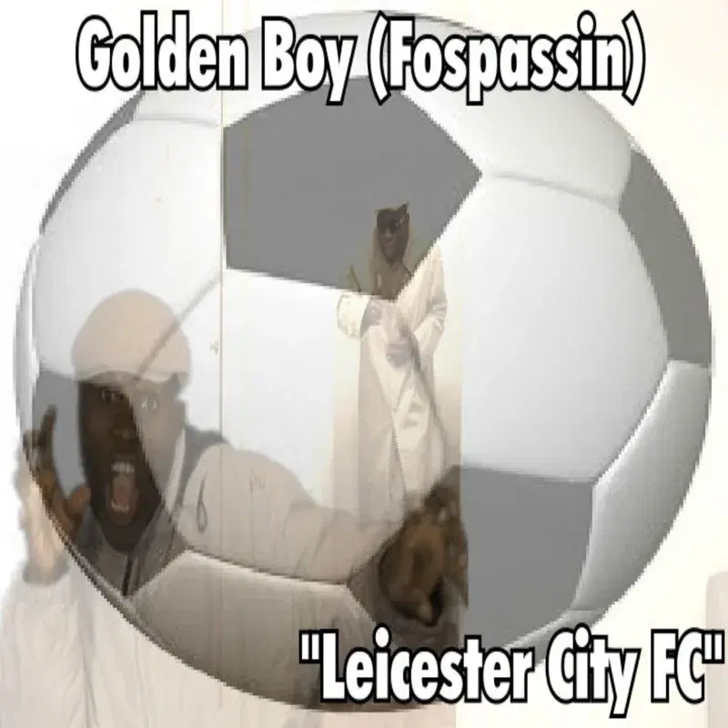 Leicester City Fc