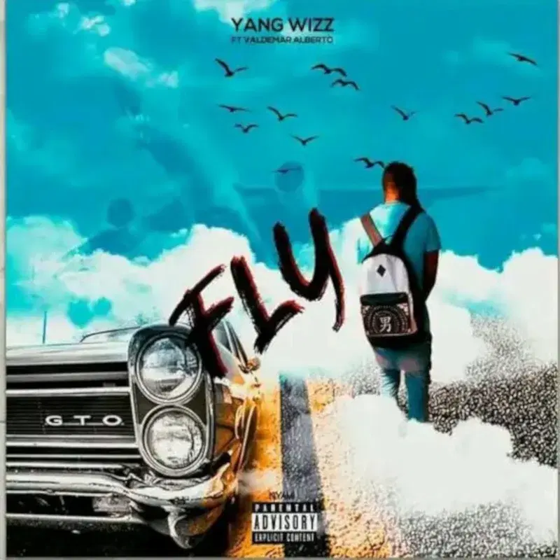 Fly