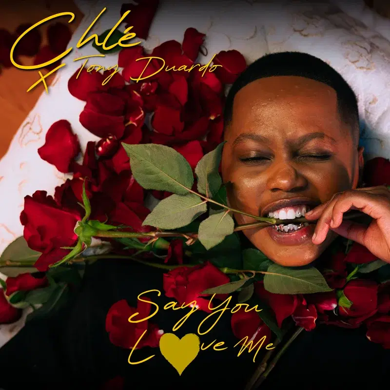 Say You Love Me