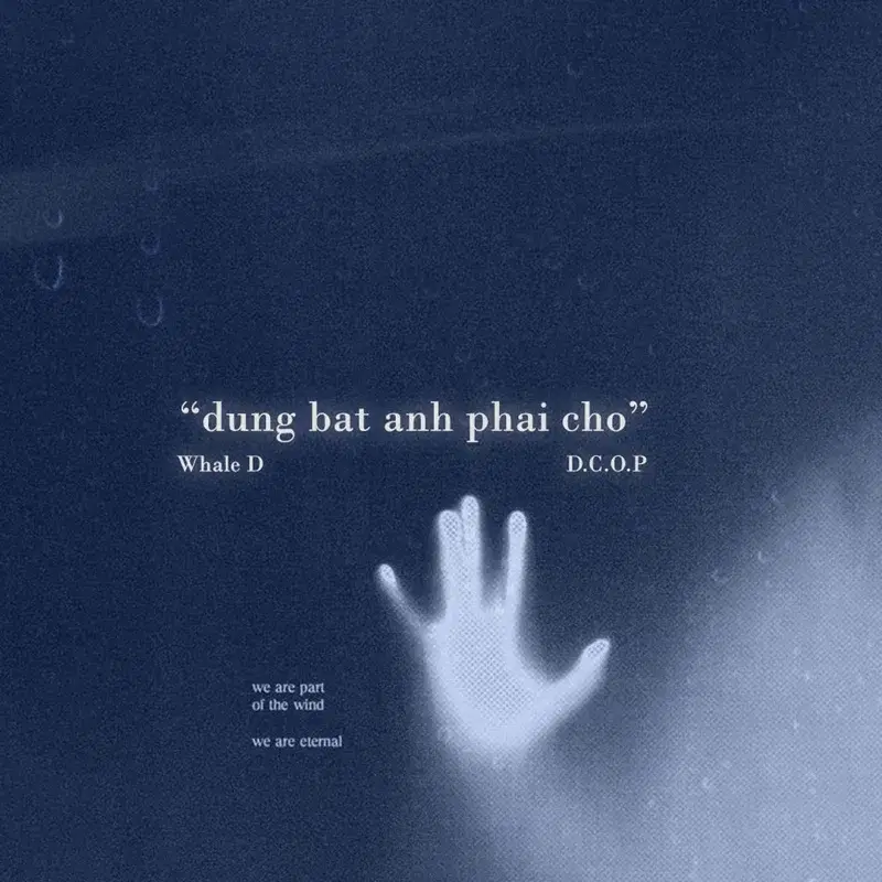 dungbatanhphaicho