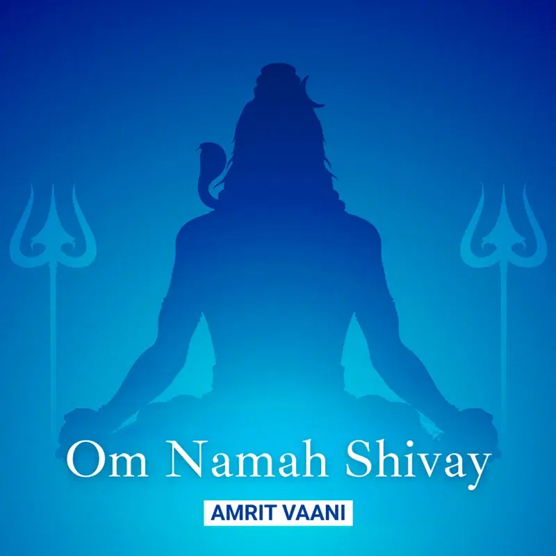 Om Namah Shivay (One Hour Chanting)