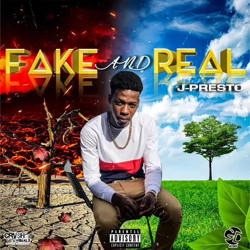 Fake and Real