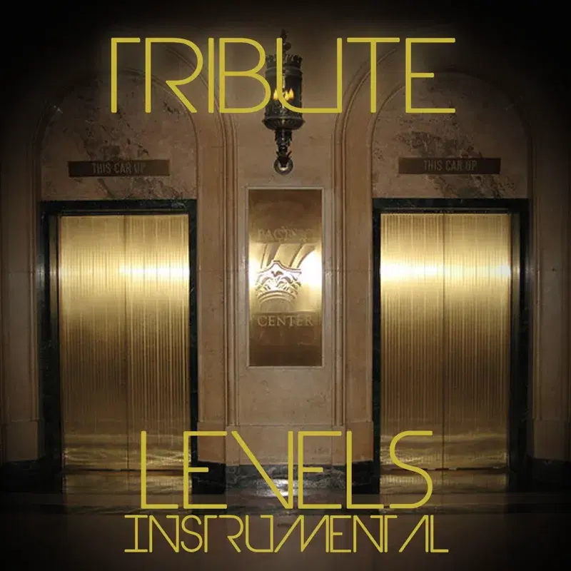 Levels (Avicii Instrumental Tribute) - Single