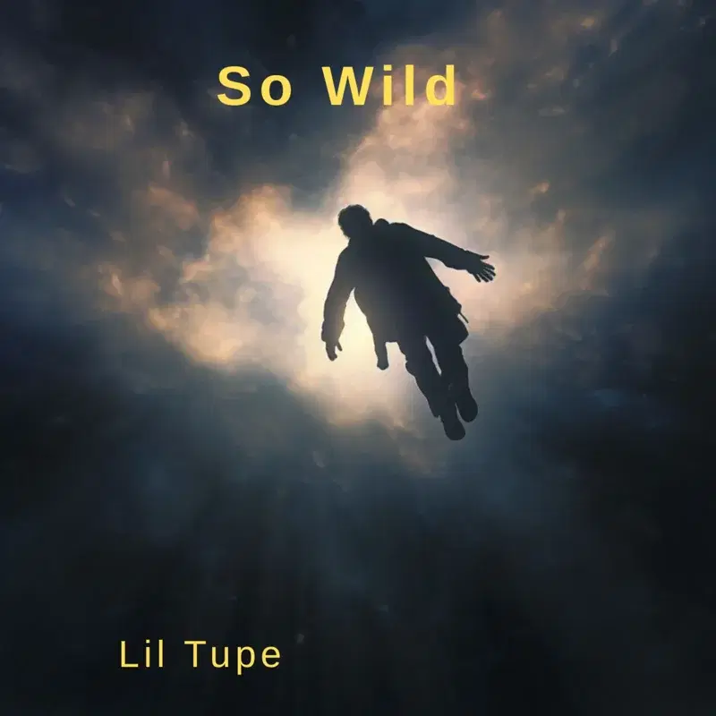 So Wild