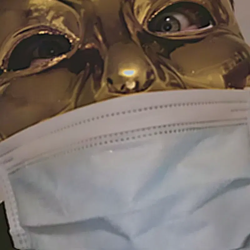 The Mask