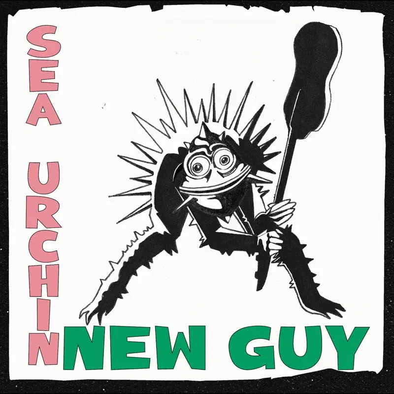 New Guy