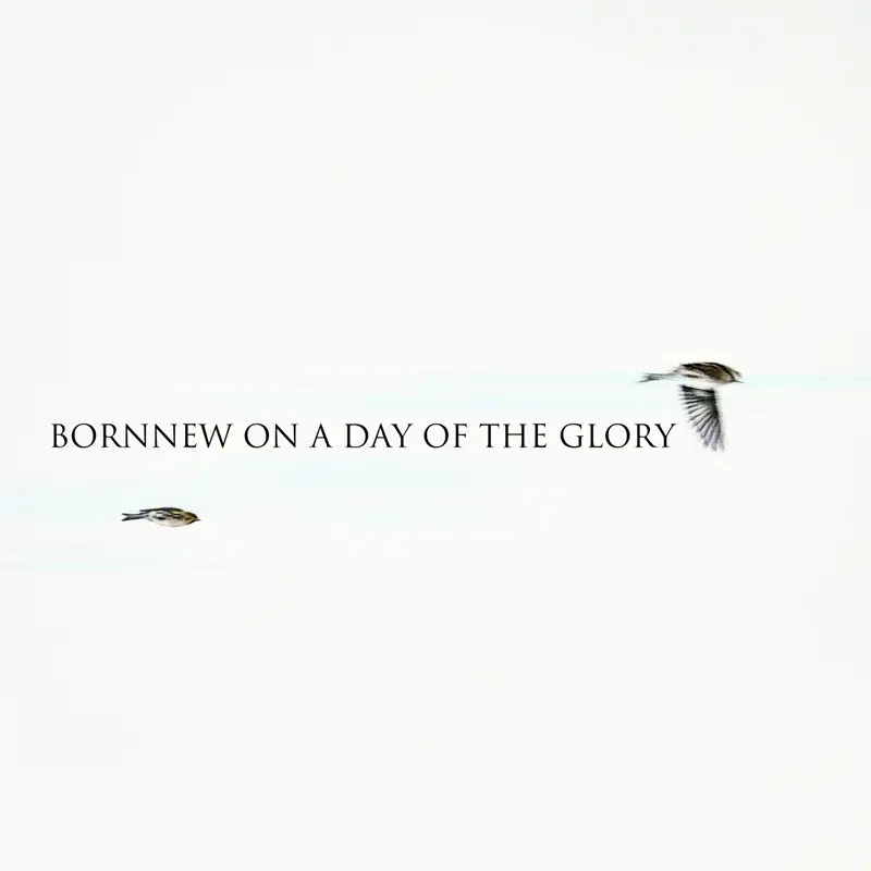 Bornnew on a Day of the Glory