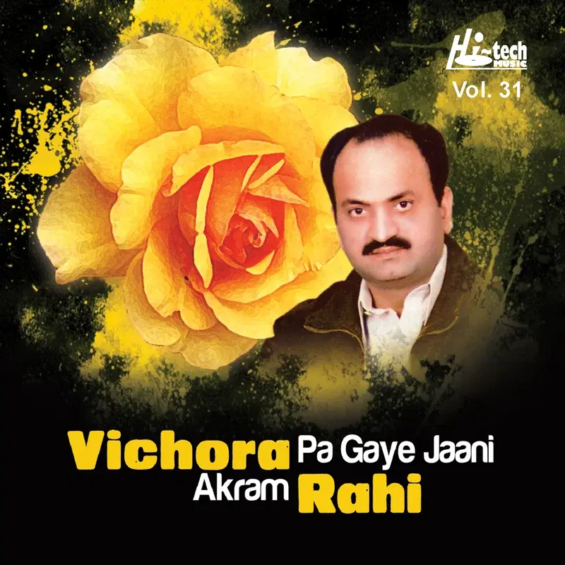Vichora Pa Gaye Jaani Vol. 31