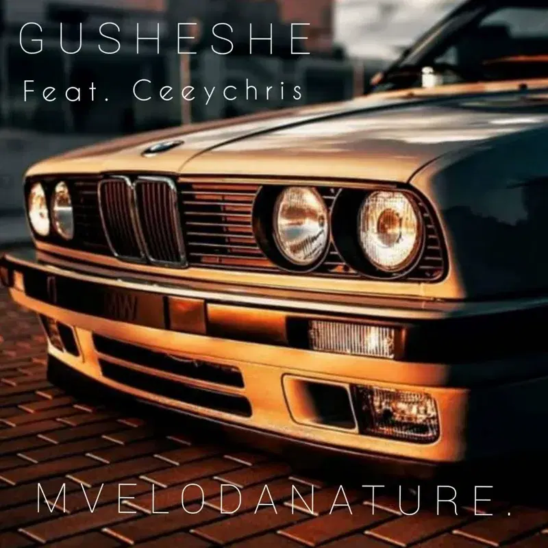 Gusheshe