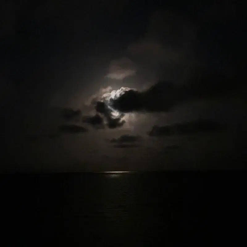 Luz