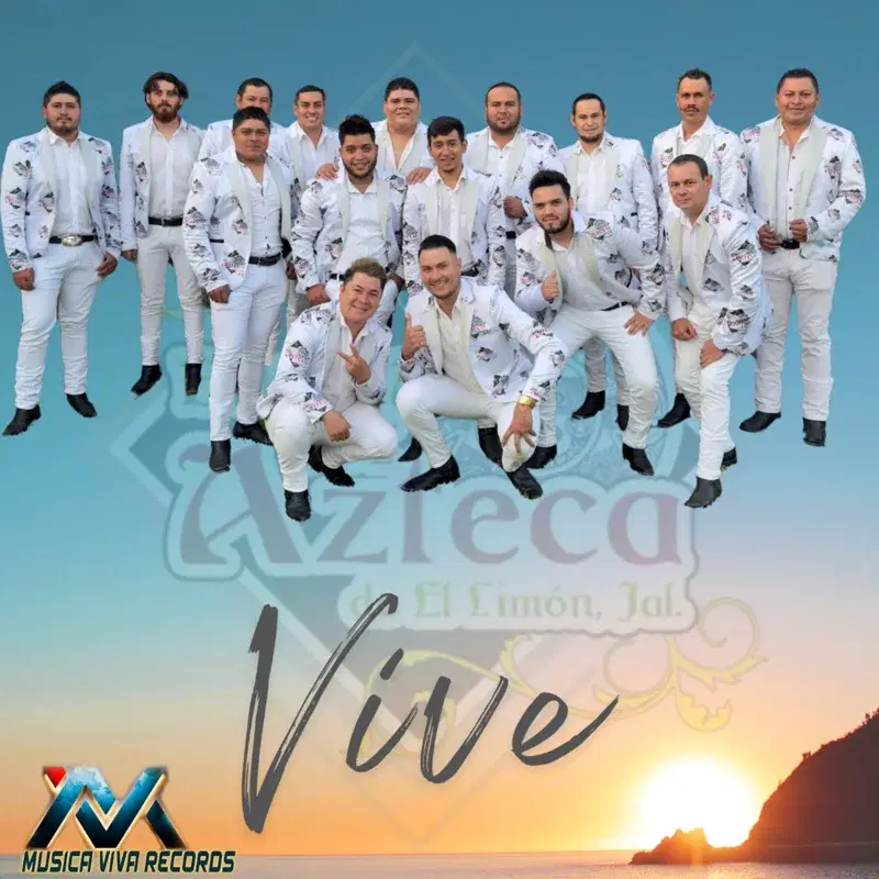 VIVE