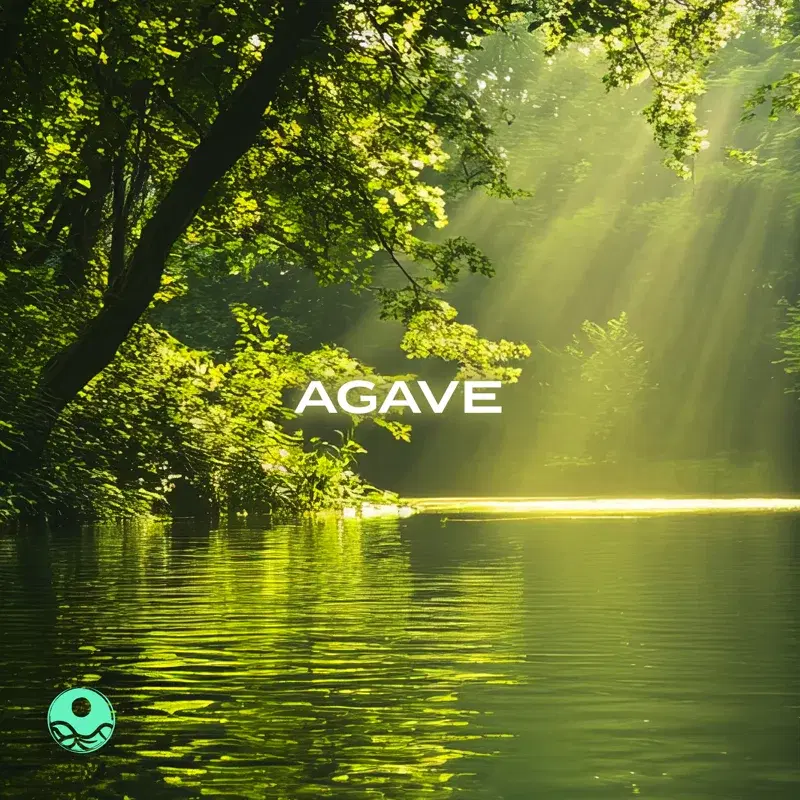Agave