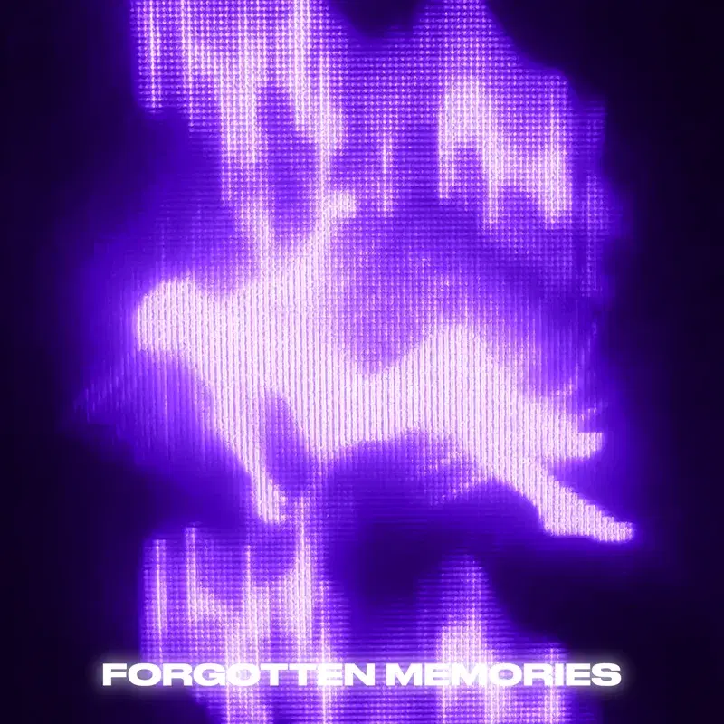 Forgotten Memories
