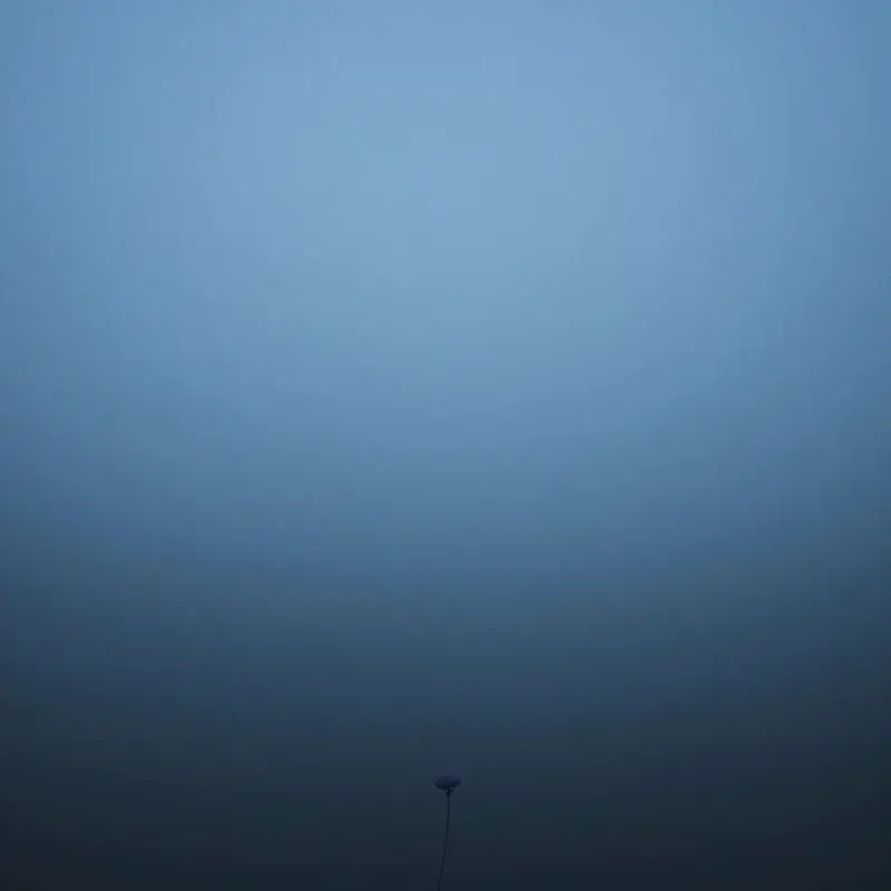 Before the Dawn