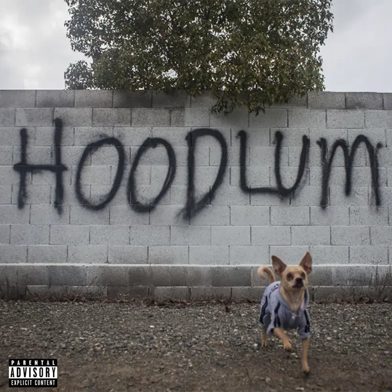 Hoodlum