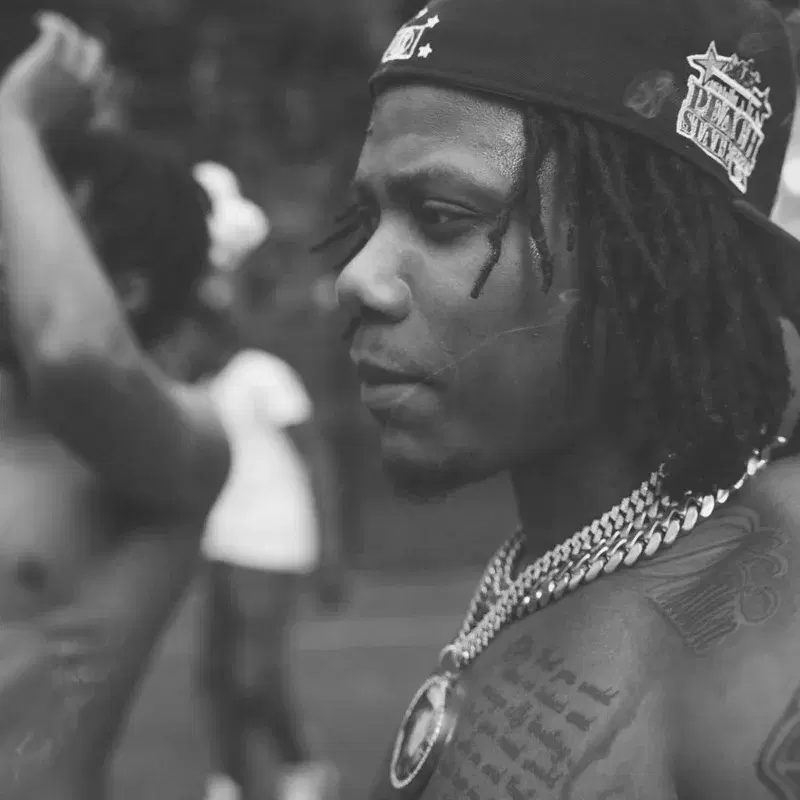 Law Freestyle