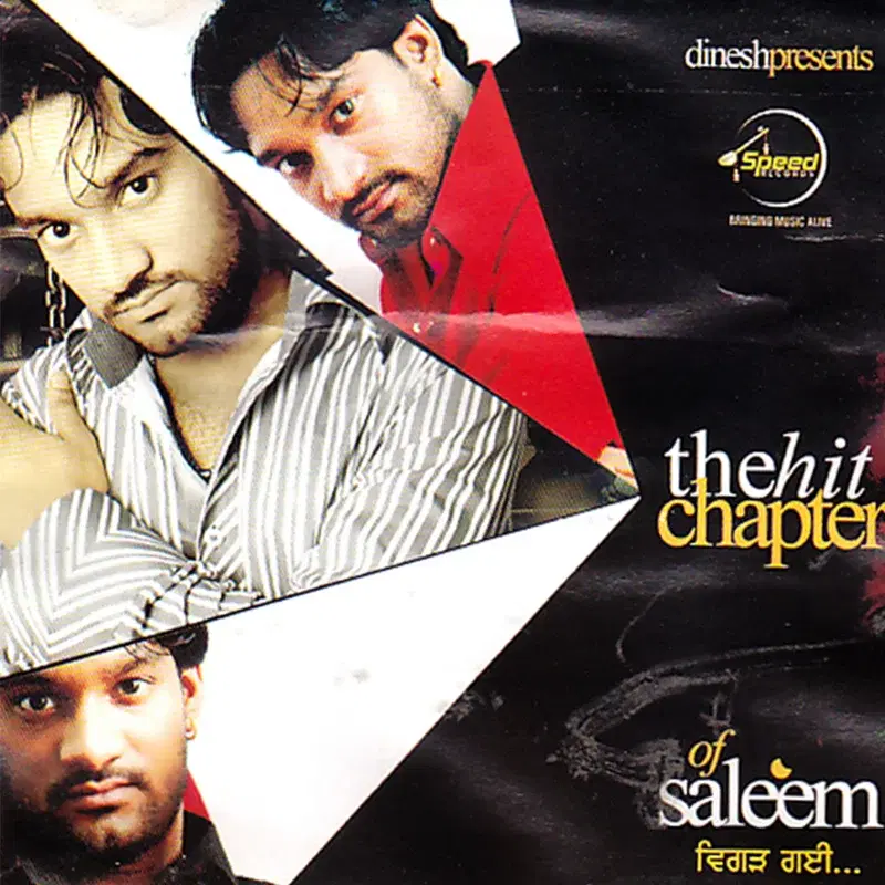 The Hit Chapter of Saleem