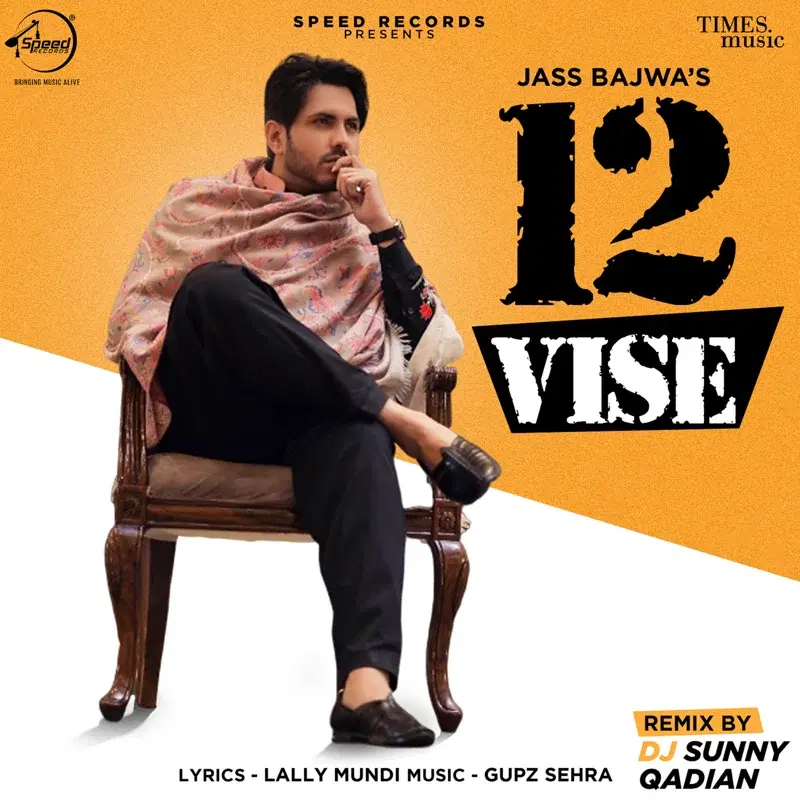 12 Vise