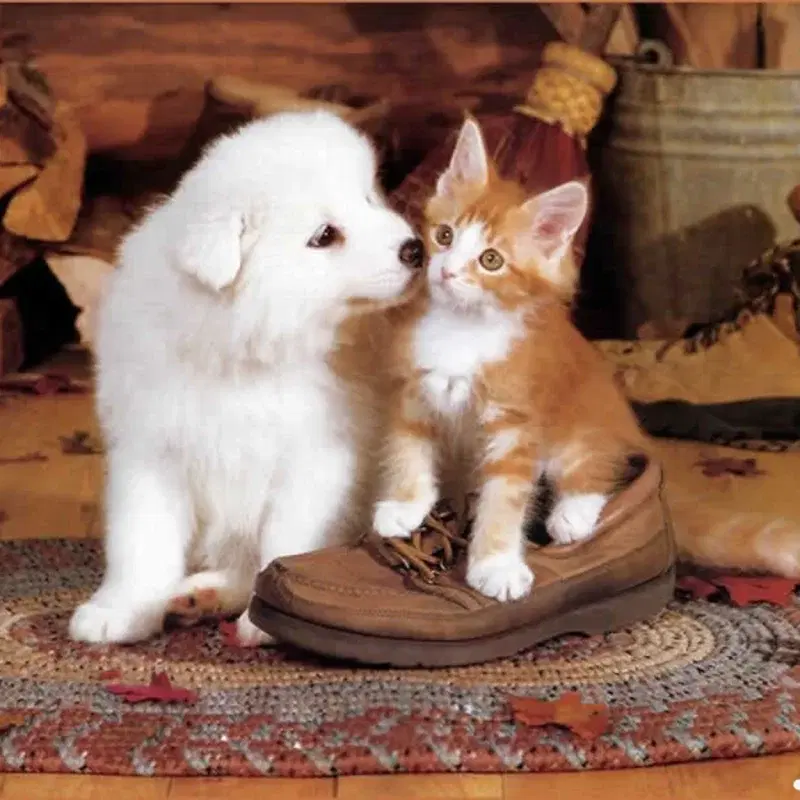 What Child Is This