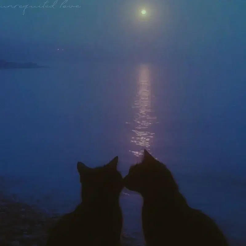 unrequited love