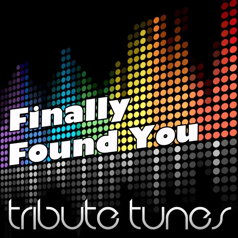 Finally Found You (Tribute to Enrique Iglesias Feat. Sammy Adams)
