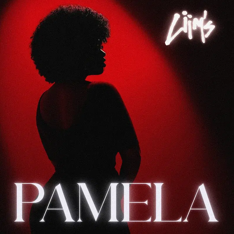 PAMELA