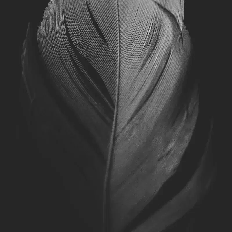 Light as a Feather