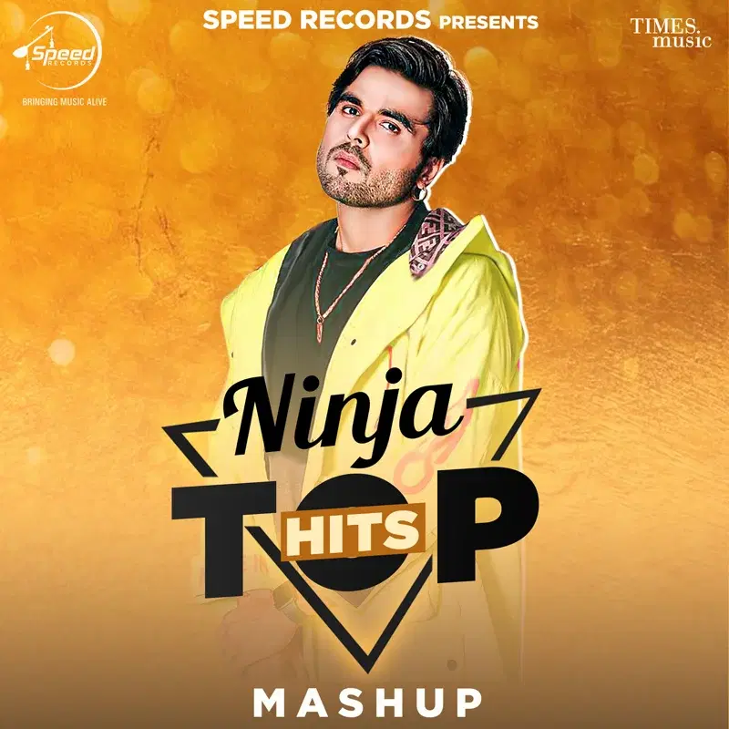 Ninja Top Hits