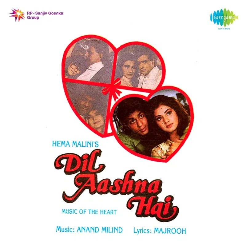 Dil Aashna Hai (Original Motion Picture Soundtrack)