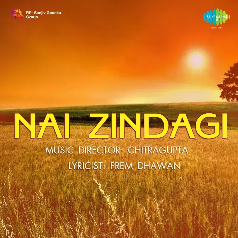 Nai Zindagi (Original Motion Picture Soundtrack)