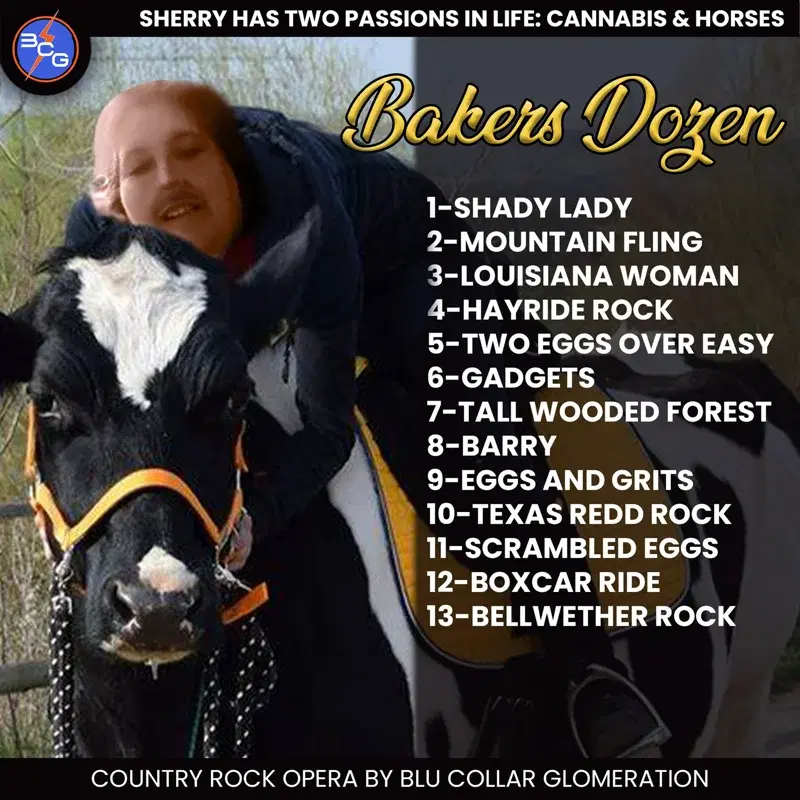 Bakers Dozen