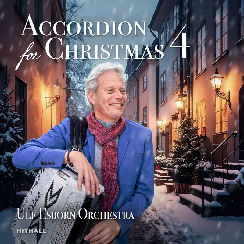 Accordion for Christmas 4