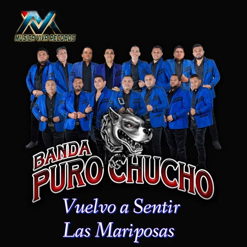 VUELVO A SENTIR LAS MARIPOSAS