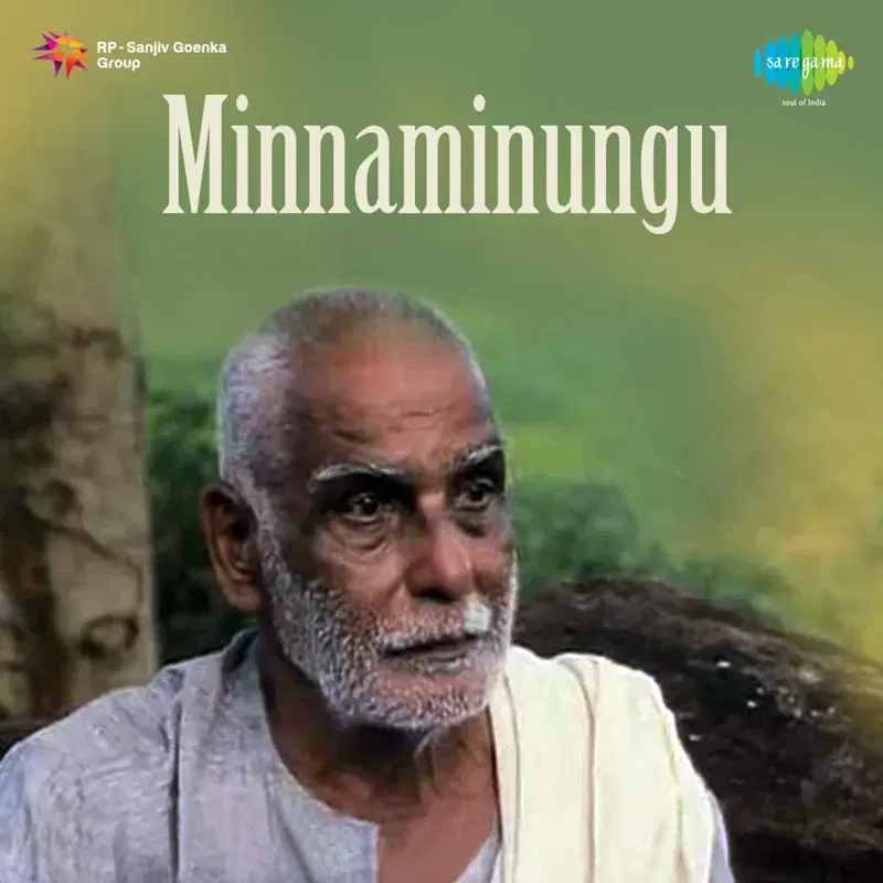 Minnaminungu (Original Motion Picture Soundtrack)