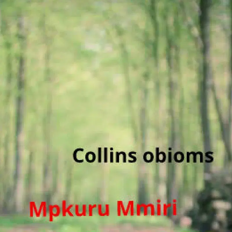 Mkpuru Mmiri