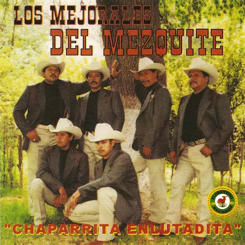 Chaparrita Enlutadita