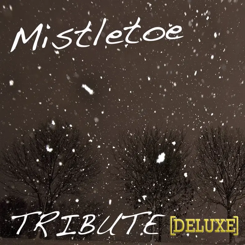 Mistletoe (Justin Bieber Tribute Deluxe)