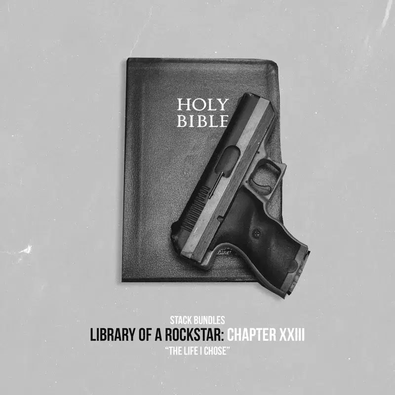 Library of a Rockstar: Chapter 23 - the Life I Chose