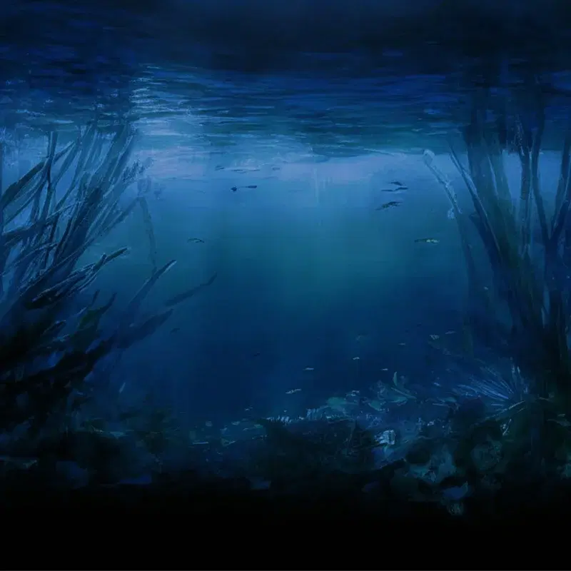 underwater