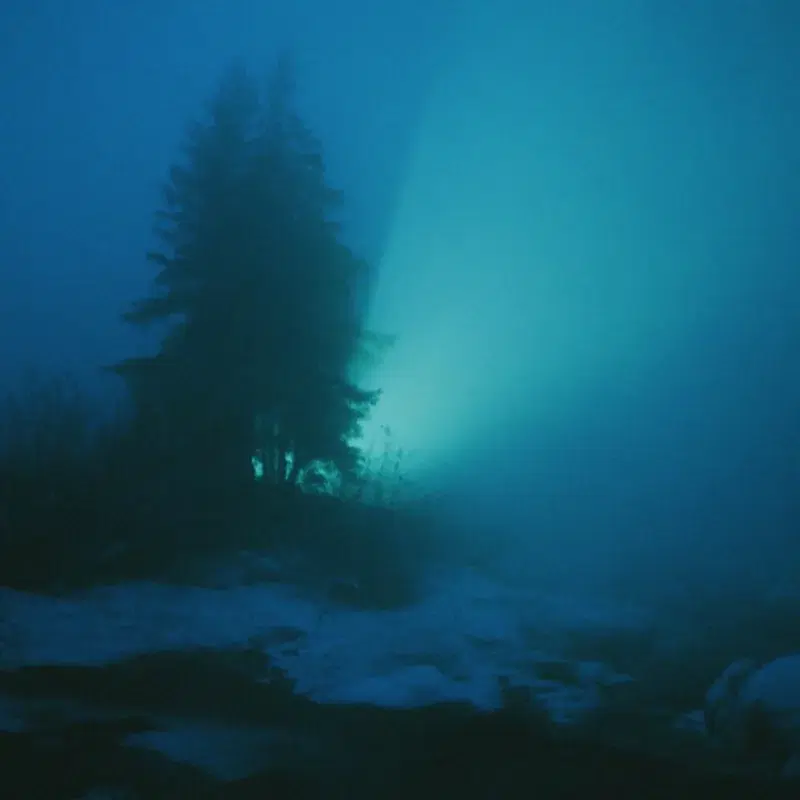 snowlight