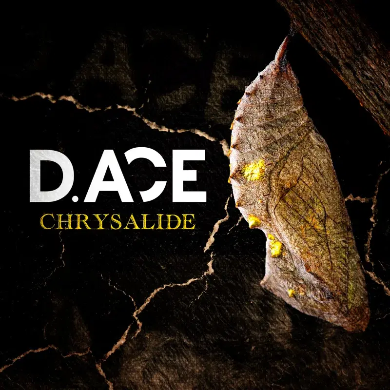 Chrysalide