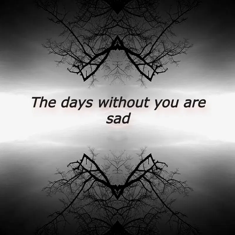 THE DAYS WITHOUT YOU ARE SAD