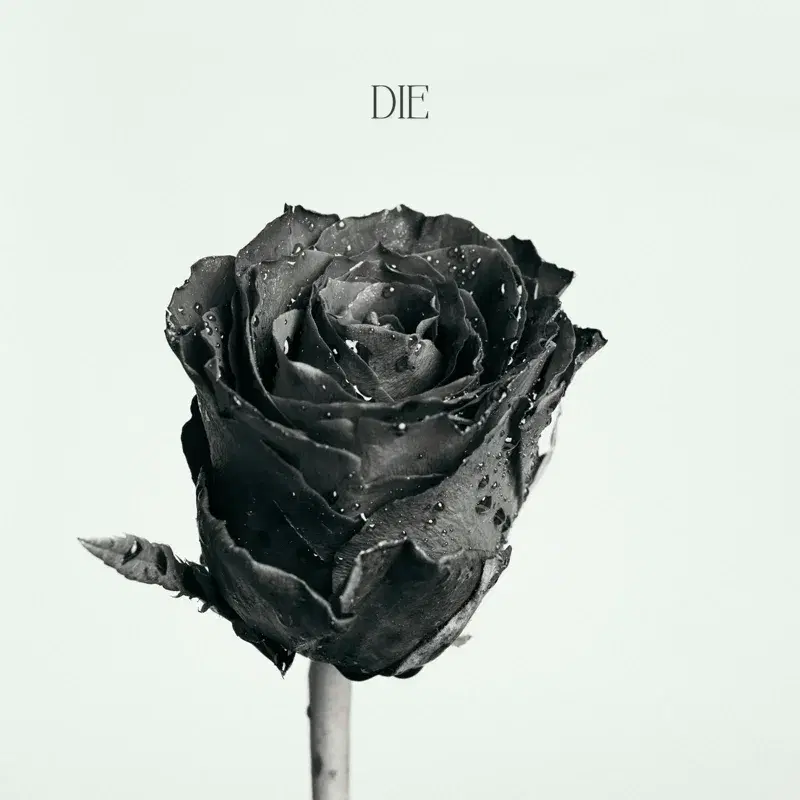 Die