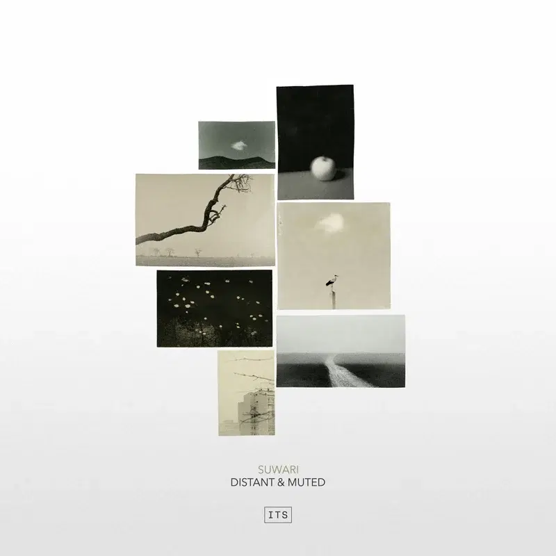 Distant & Muted