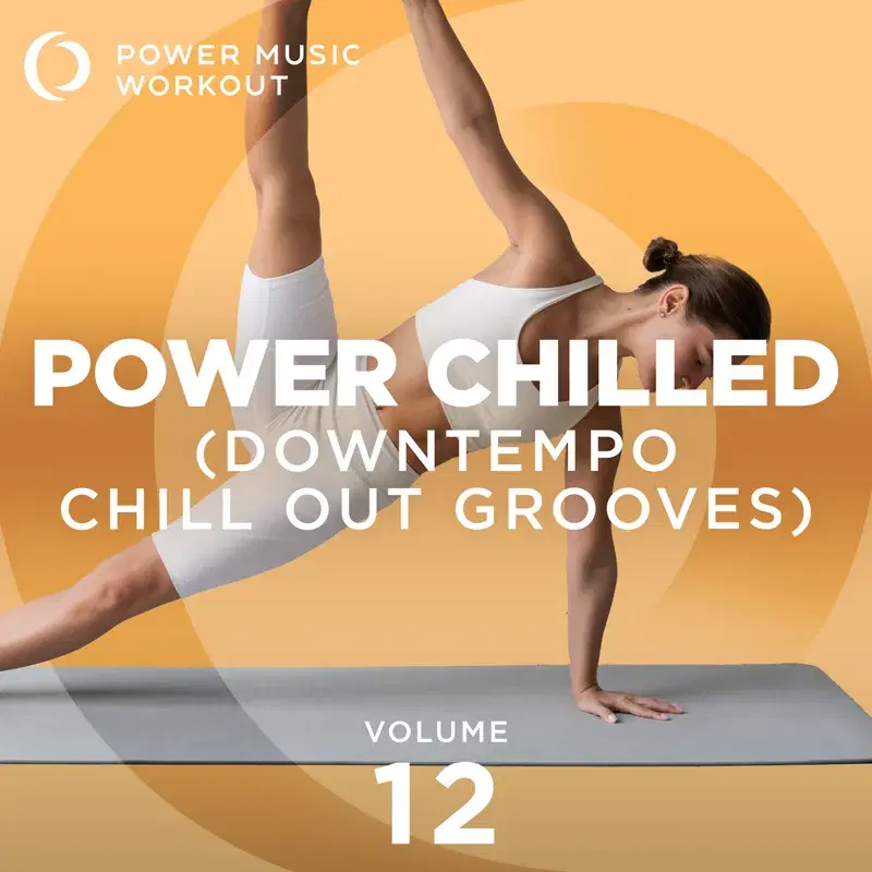 Power Chilled, Vol. 12