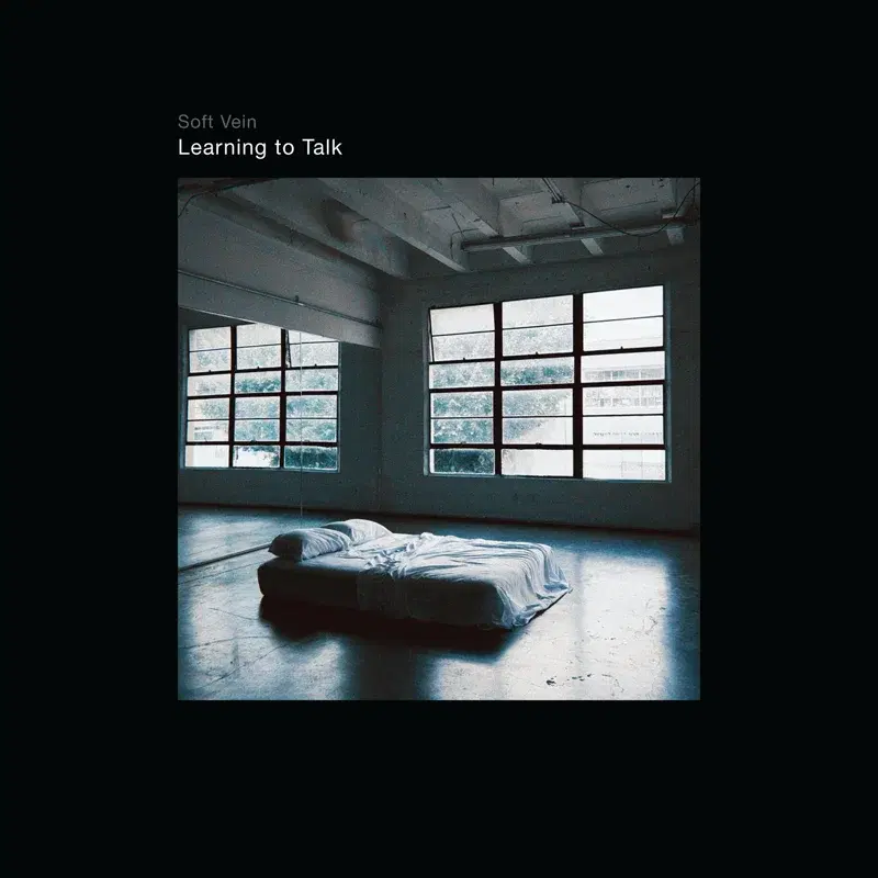 Learning to Talk