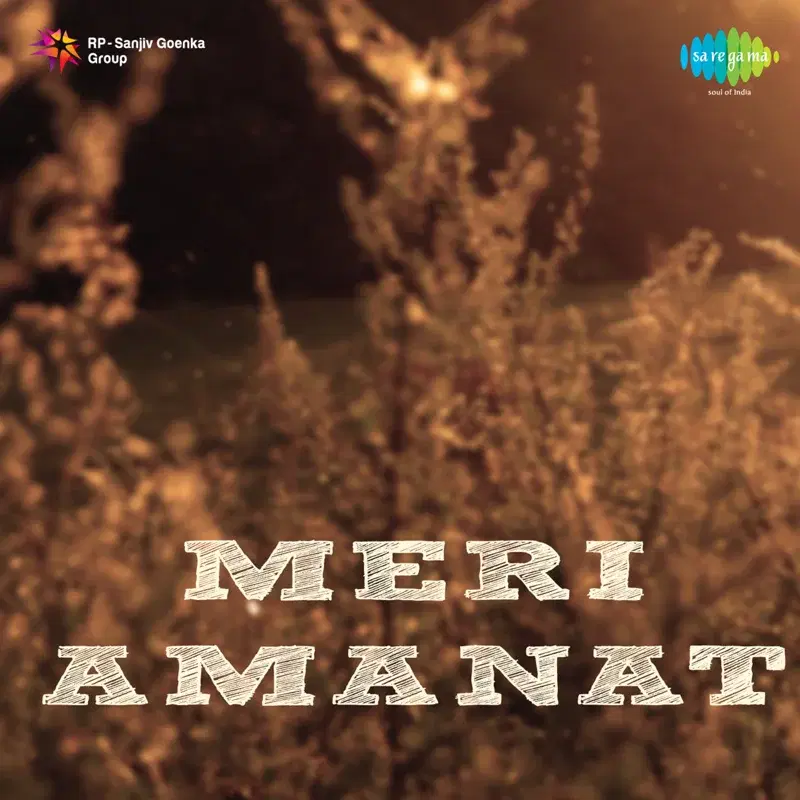 Meri Amanat (Original Motion Picture Soundtrack)